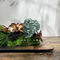 New Chinese Style Modern Preserved Moss Floral Arrangement Ornament Bonsai Micro Landscape for Showroom Restaurant Decor