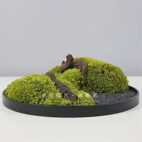 New Chinese Style Preserved Moss Landscape Hotel Round Table Centerpiece Green Plant Floral Micro-Landscape Desktop Ornament