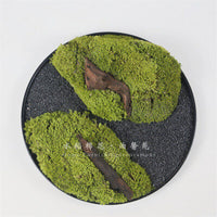 New Chinese Style Preserved Moss Landscape Hotel Round Table Centerpiece Green Plant Floral Micro-Landscape Desktop Ornament