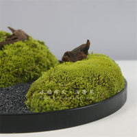 New Chinese Style Preserved Moss Landscape Hotel Round Table Centerpiece Green Plant Floral Micro-Landscape Desktop Ornament