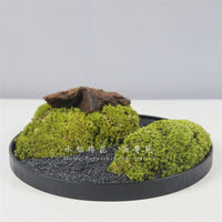 New Chinese Style Preserved Moss Landscape Hotel Round Table Centerpiece Green Plant Floral Micro-Landscape Desktop Ornament