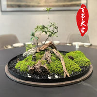 Luxury Preserved Moss Micro-Landscape Table Centerpiece for Hotel Dining Tables, Round Floral Art Sand Table