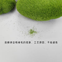 Artificial Moss Stone Succulent Plant Bonsai Micro Landscape Flower Pot Ornament