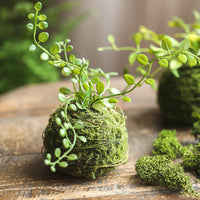 Artificial Fern Leaf Moss Ball Ornament for Indoor Home Decor and Landscaping