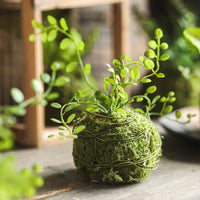 Artificial Fern Leaf Moss Ball Ornament for Indoor Home Decor and Landscaping