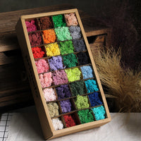 Preserved Moss Dried Flowers Real Green Plant Wall DIY Craft Material Pack A-Grade Reindeer Moss