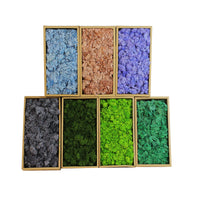 Preserved Moss Dried Flowers Real Green Plant Wall DIY Craft Material Pack A-Grade Reindeer Moss