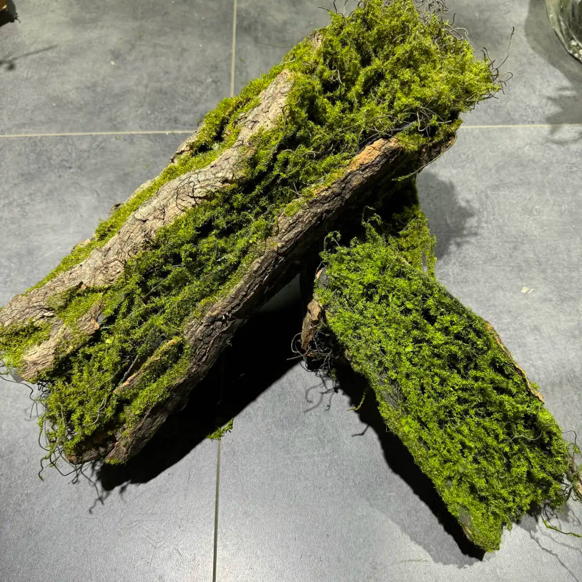 Artificial Wood Trunk Moss Bark Tree Root Landscape Decor Photography Prop Kindergarten Ornament