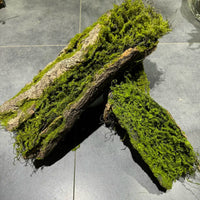 Artificial Wood Trunk Moss Bark Tree Root Landscape Decor Photography Prop Kindergarten Ornament