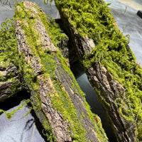 Artificial Wood Trunk Moss Bark Tree Root Landscape Decor Photography Prop Kindergarten Ornament