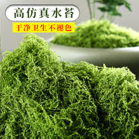 Realistic Artificial Moss for Bonsai Decoration, Micro Landscape, and Craft Projects - 200g Packs