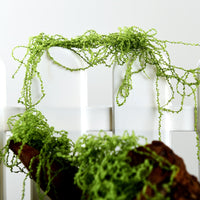 Realistic Artificial Moss for Bonsai Decoration, Micro Landscape, and Craft Projects - 200g Packs
