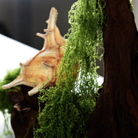Realistic Artificial Moss for Bonsai Decoration, Micro Landscape, and Craft Projects - 200g Packs