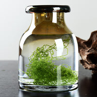 Realistic Artificial Moss for Bonsai Decoration, Micro Landscape, and Craft Projects - 200g Packs