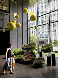 Artificial Moss Ball Acrylic Hanging Ball Moss Hemisphere Stainless Steel Ball Display Stand Hotel Lobby Window Prop Decoration