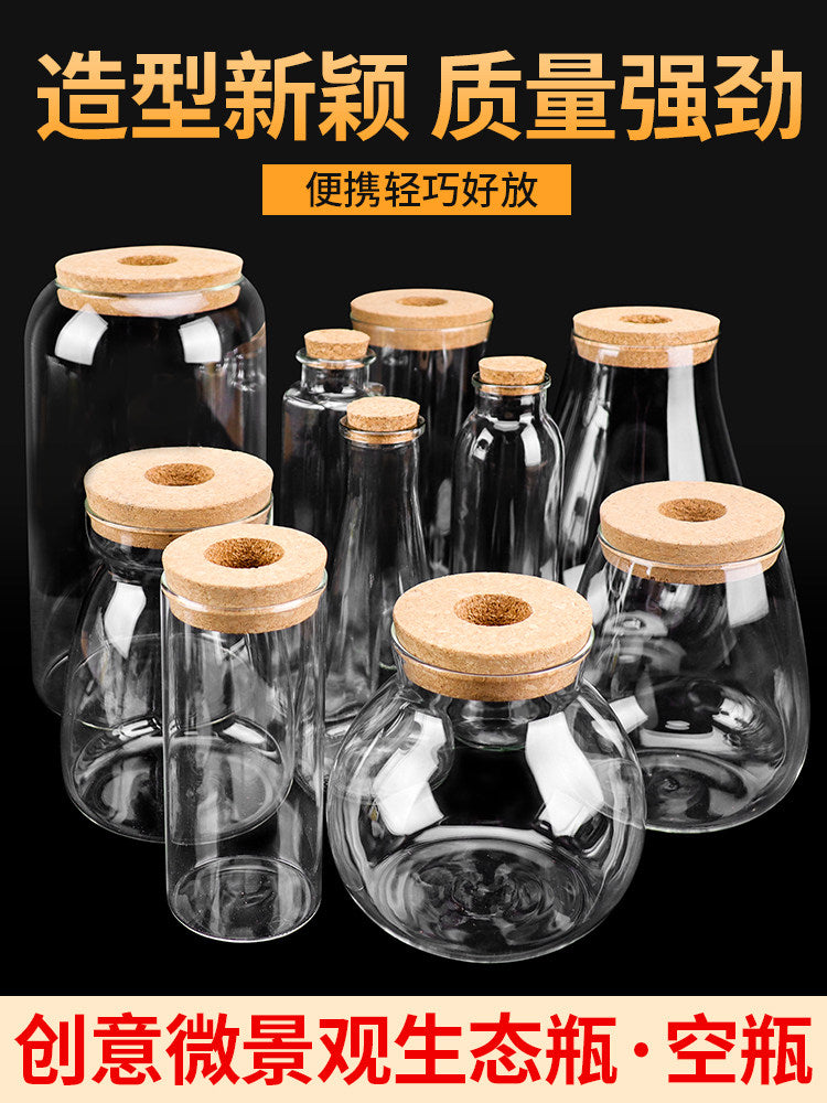 DIY Micro Landscape Ecosystem Bottle Kit - Creative Glass Fish Tank for Office Desk Decor