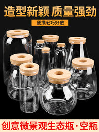 DIY Micro Landscape Ecosystem Bottle Kit - Creative Glass Fish Tank for Office Desk Decor