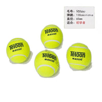 Ruixue Tianlong Professional Tennis Balls for Practice and Competition - Beginner Training