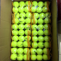 12-Pack Competition Training Tennis Balls - Bagged Practice Pressure Tennis Balls