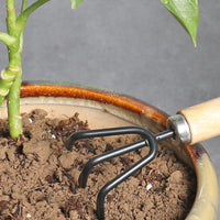 Gardening Tool Set for Potted Plants and Flower Arrangement - 3-Piece Home Use Planting Shovel Kit