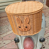 Bicycle Basket with Lid for Electric Bikes - Front Handlebar Storage