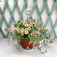 European Style Wrought Iron Hanging Planter Basket Indoor Outdoor Balcony Garden Succulent Flower Pot Holder
