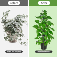 Climbing Plant Support Metal Trellis for Garden Spiral Vine Support Frame for Herbs and Flowers