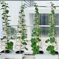 Climbing Plant Support Metal Trellis for Garden Spiral Vine Support Frame for Herbs and Flowers