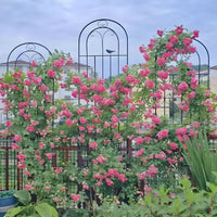 Wrought Iron Climbing Plant Trellis, Black Metal Garden Arch for Roses and Clematis, Outdoor Balcony Flower Support Frame