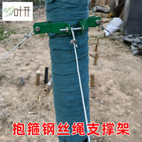 Tree Support Kit Metal Iron Hoop Fixer Landscaping Windproof Tree Pole Steel Wire Rope Support Frame