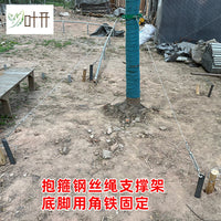 Tree Support Kit Metal Iron Hoop Fixer Landscaping Windproof Tree Pole Steel Wire Rope Support Frame