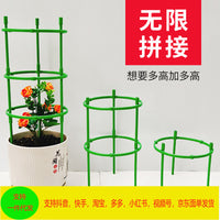 Adjustable Plant Support Stakes for Indoor and Outdoor Climbing Plants, Flowers, and Vines