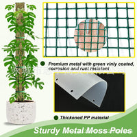 Semi-Circular Moss Pole Plant Support for Climbing Plants, Monstera Moss Stick