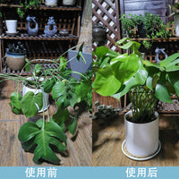 Wrought Iron Garden Plant Support Stakes, Arc-shaped Plant Cages for Climbing Plants, Hydrangeas, Fruits, and Vegetables