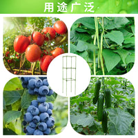 2025 New Tomato Cage Garden Trellis Vegetable Plant Support Climbing Frame Four-Legged Stand