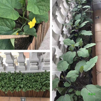 Rectangular Anti-Corrosion Wood Planter Box for Garden Patio Balcony Vegetable Planting Solid Wood Fence Planter Succulent Flower Trough