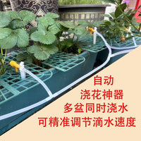 Strawberry Plant Support Frame Square Tray Stand Anti-Rotting Planter for Fruits and Green Plants Garden Support