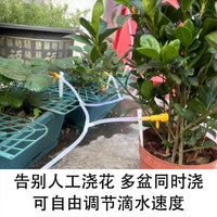 Strawberry Plant Support Frame Square Tray Stand Anti-Rotting Planter for Fruits and Green Plants Garden Support