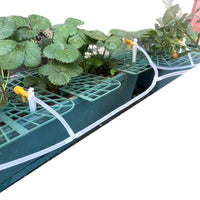 Strawberry Plant Support Frame Square Tray Stand Anti-Rotting Planter for Fruits and Green Plants Garden Support