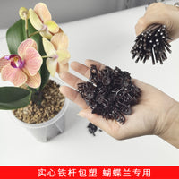 Phalaenopsis Orchid Support Stakes with Clips and Protective Caps - Plant Fixing Rods for Flower Stems
