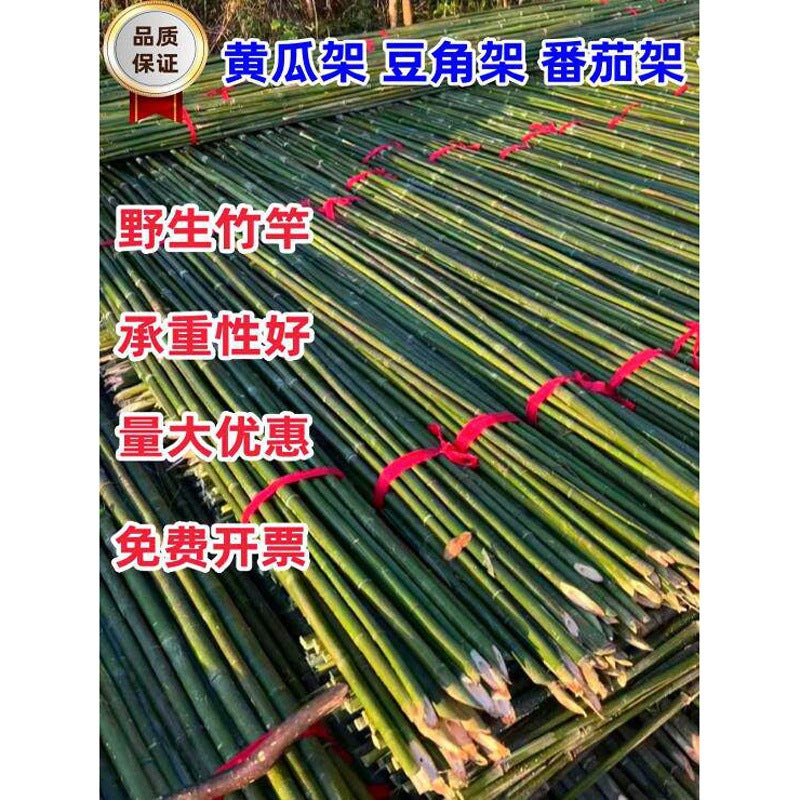 Bamboo Garden Stakes for Climbing Plants, Cucumber, Bean Support, Windproof Gardening Poles