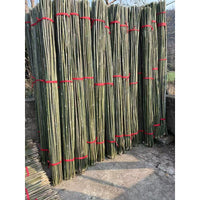 Bamboo Garden Stakes for Climbing Plants, Cucumber, Bean Support, Windproof Gardening Poles