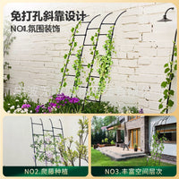 Half Arch Rose Climbing Trellis Pergola for Villa Courtyard Balcony Garden Plants, No-Drill Adjustable Grapevine Support