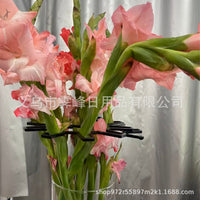 Adjustable Round Plant Support Stakes for Potted Plants and Garden Flowers, Stem Fixing Holder