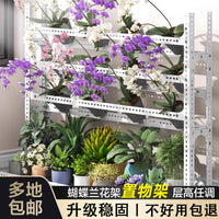 Phalaenopsis Orchid Display Shelf Multi-tier Floor-standing Plant Stand for Home Balcony Adjustable Flower Rack