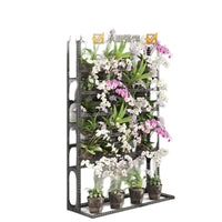 Phalaenopsis Orchid Display Shelf Multi-tier Floor-standing Plant Stand for Home Balcony Adjustable Flower Rack