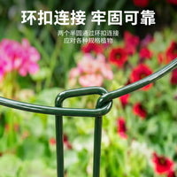 Iron Plant Support Stakes Half-Round Garden Trellis for Potted Plants, Monstera, Hydrangea, and Money Tree