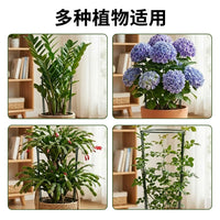 Iron Plant Support Stakes Half-Round Garden Trellis for Potted Plants, Monstera, Hydrangea, and Money Tree