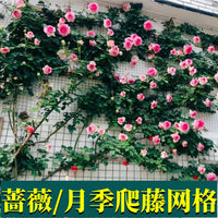 Garden Trellis Netting Iron Wire Mesh for Climbing Plants Roses Vines Wall Mounted Support Outdoor Fixed Bracket