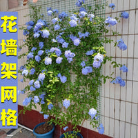 Garden Trellis Netting Iron Wire Mesh for Climbing Plants Roses Vines Wall Mounted Support Outdoor Fixed Bracket